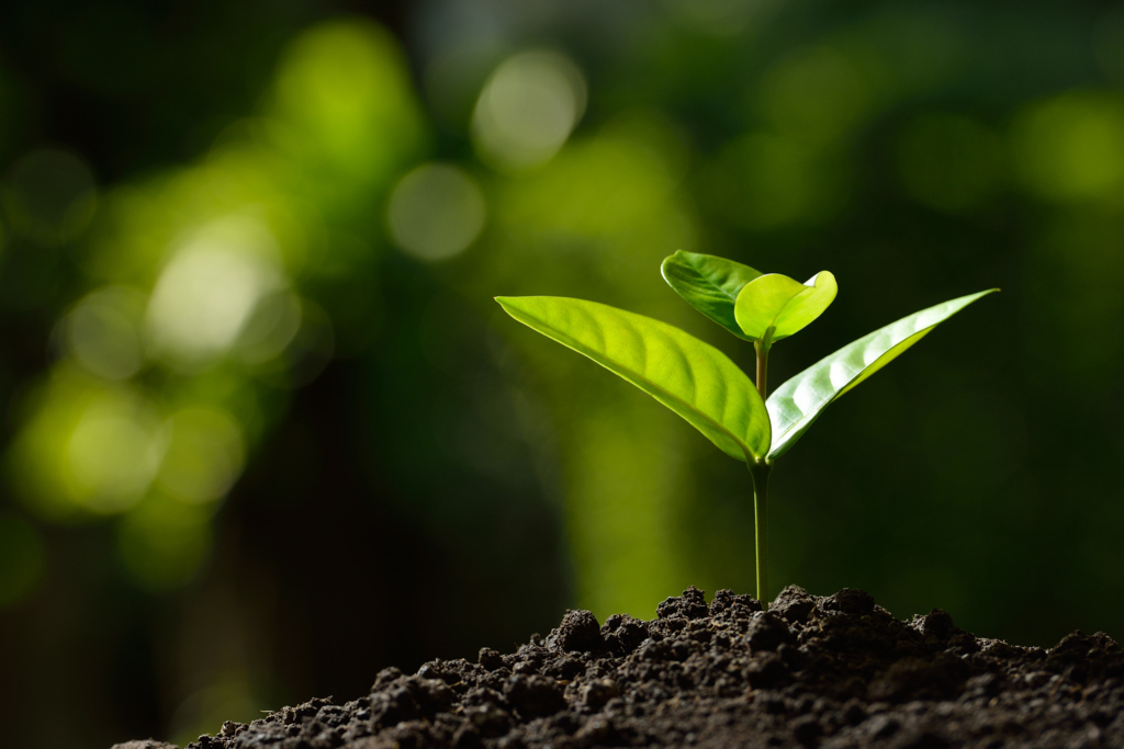 Downsizing Can Be a Fresh Start - If You Look Beyond the Price Tag image